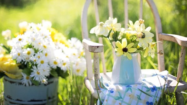 Quelles plantes devez-vous avoir pour décorer un jardinet ?