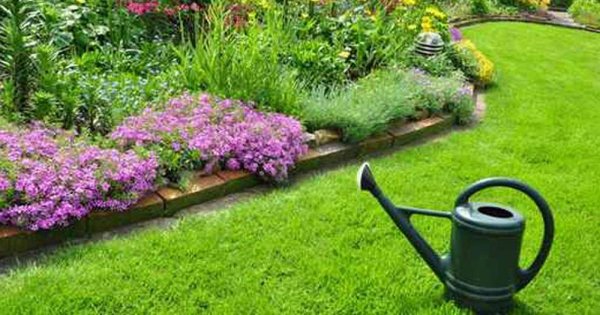 5 étapes faciles pour verdir votre jardin