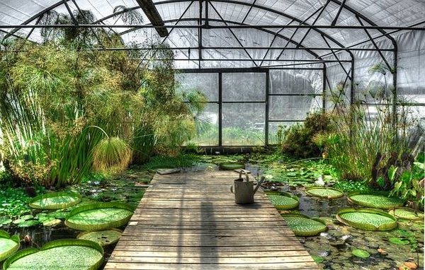 Où trouve-t-on des serres professionnelles pour aménager comme un pro son jardin ?