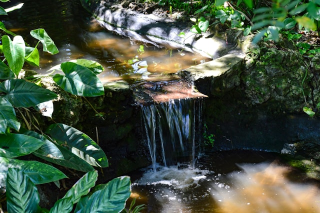 jardin eau